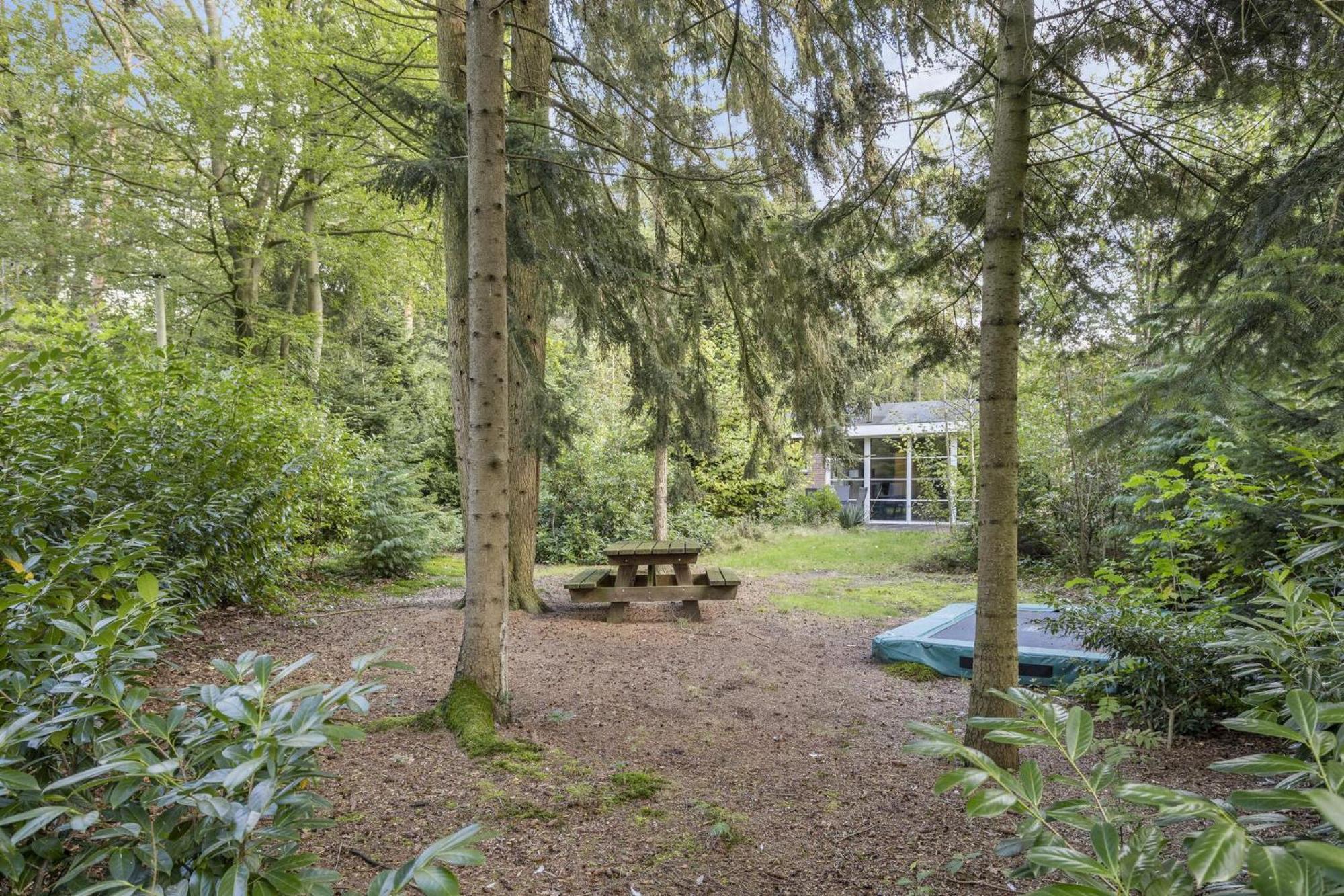 Relaxen In Het Bos Met Privesauna Holten Esterno foto
