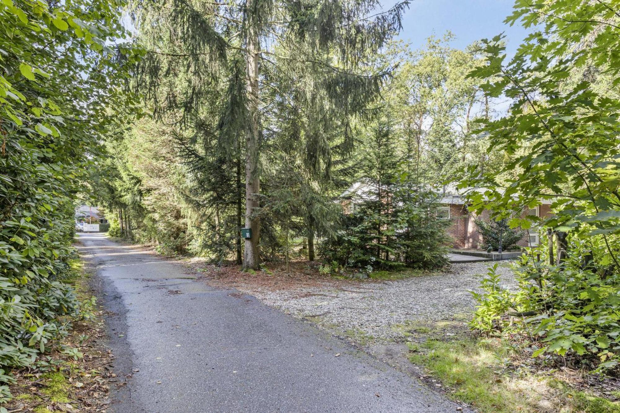 Relaxen In Het Bos Met Privesauna Holten Esterno foto